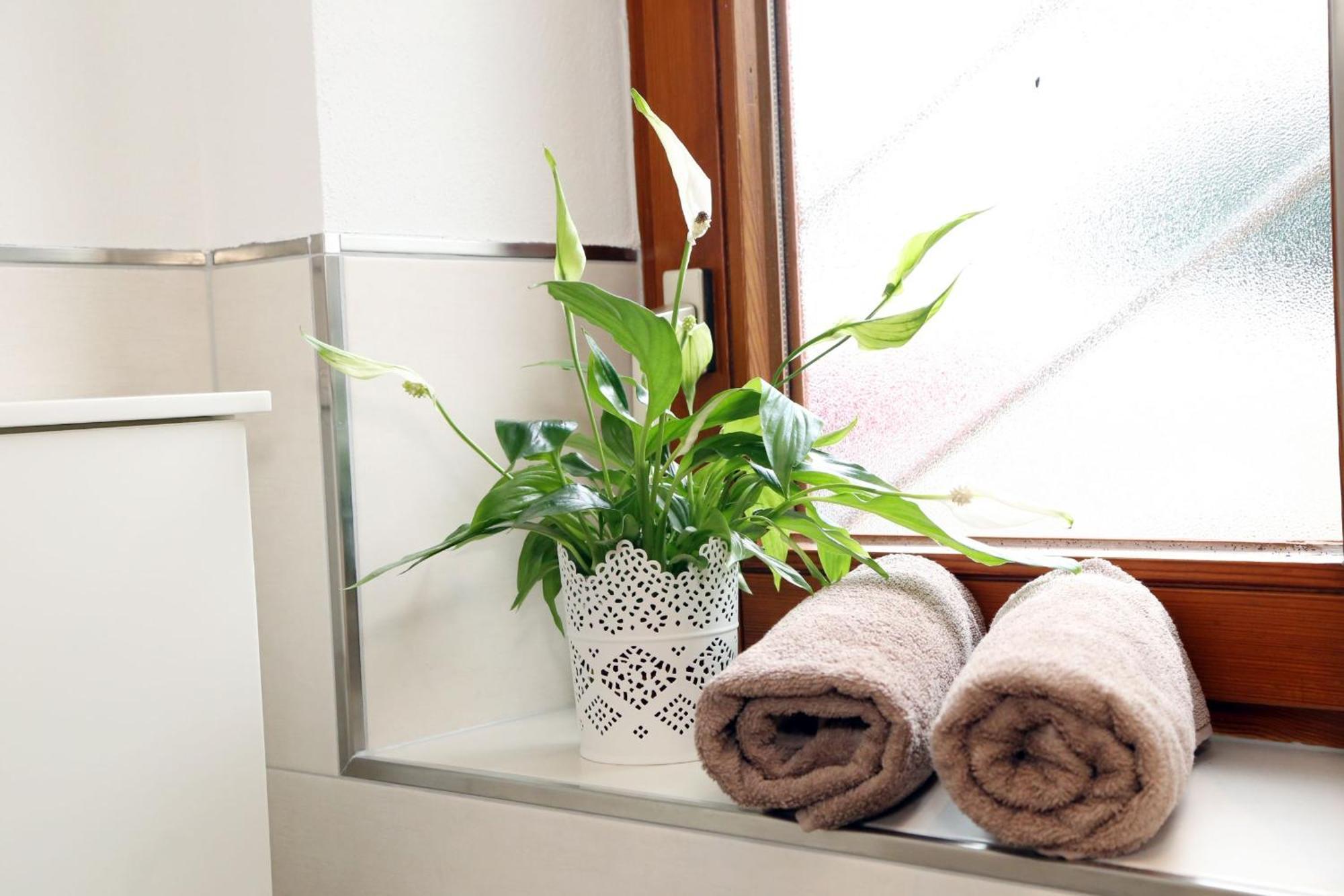 Appartement Schwarzwaldstueble Oberharmersbach Eksteriør billede