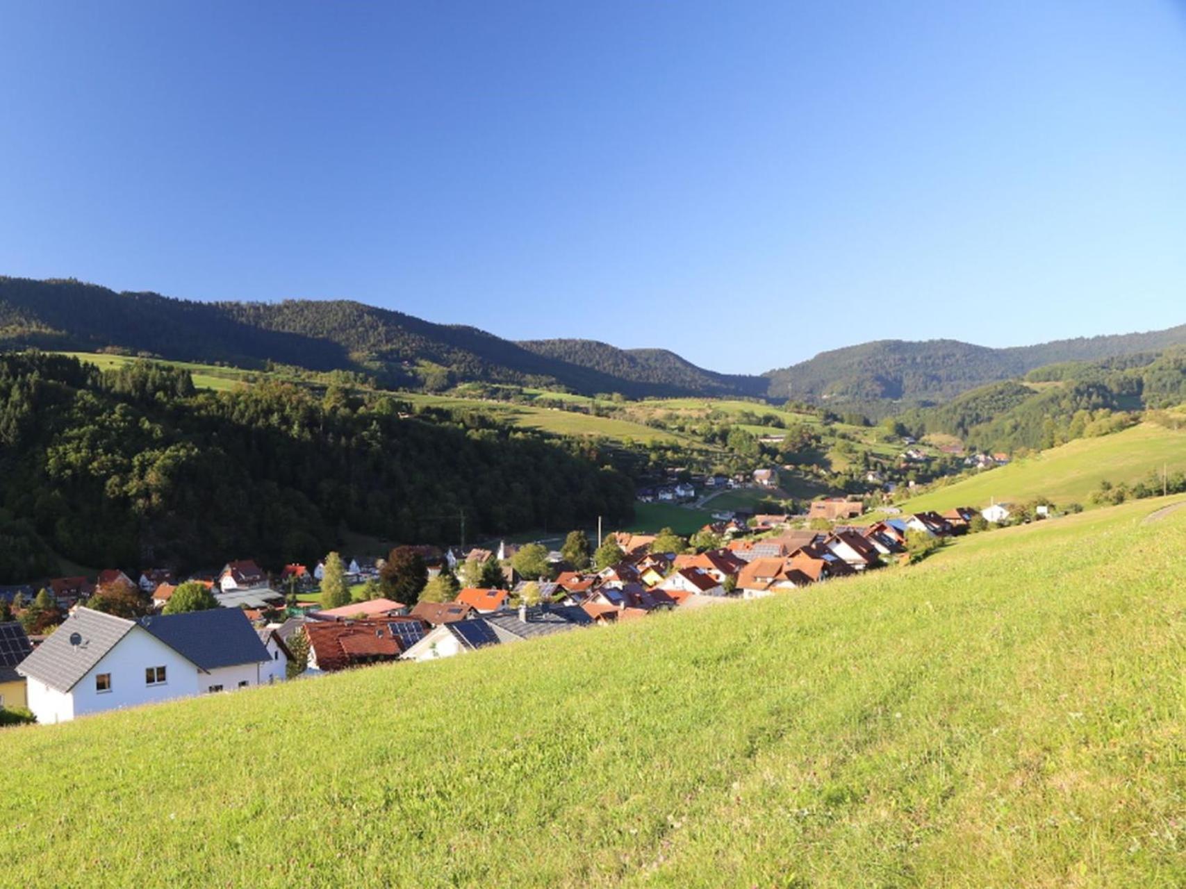 Appartement Schwarzwaldstueble Oberharmersbach Eksteriør billede