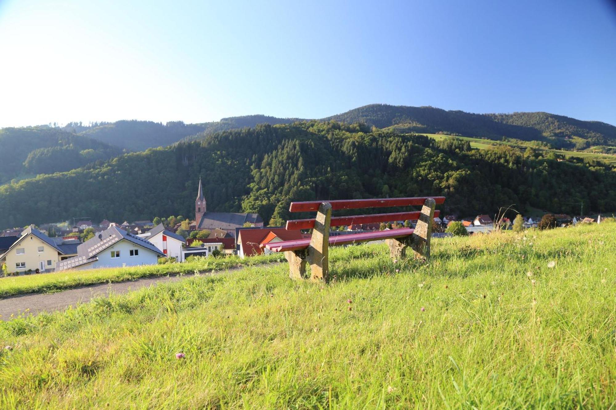 Appartement Schwarzwaldstuble Oberharmersbach Eksteriør billede